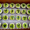 gymnastic cupcakes